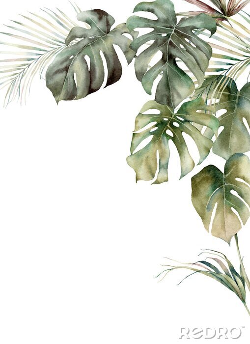 Papier peint  Feuilles de monstera aquarelle