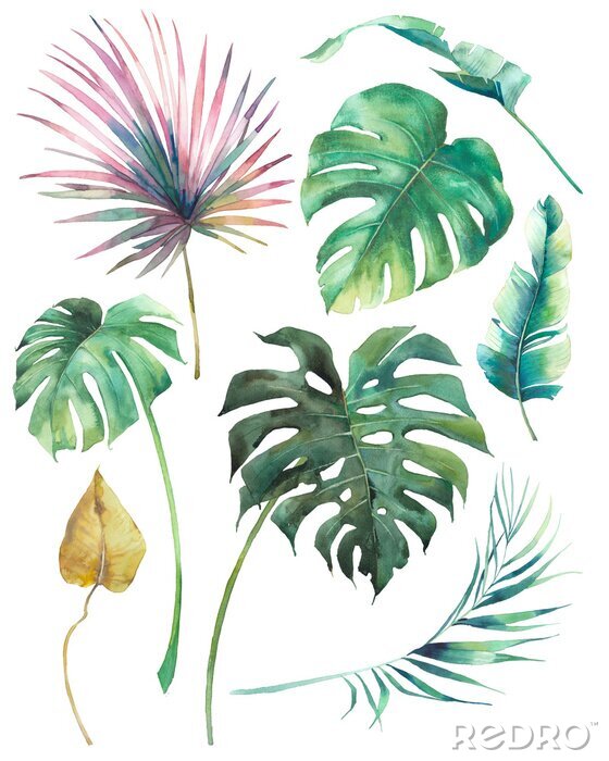Papier peint  Feuilles de Monstera et palmiers colorés