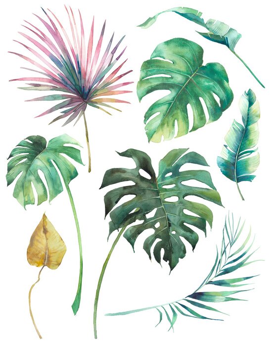 Papier peint  Feuilles de Monstera et palmiers colorés