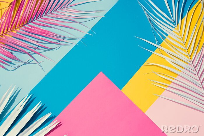 Papier peint  Feuilles de palmier colorées sur fond coloré