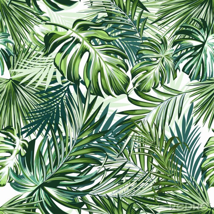 Papier peint  Feuilles de palmier dans les tons de vert