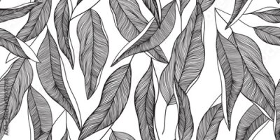 Papier peint  Feuilles de palmier étroites esquissées