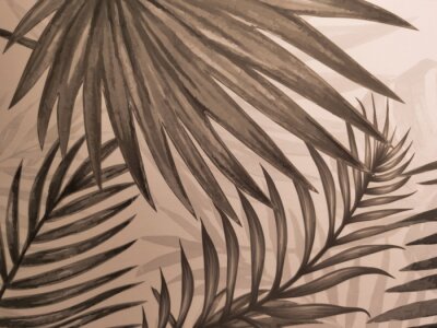 Papier peint  Feuilles de palmier marron