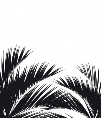 Papier peint  Feuilles de palmier noir et blanc