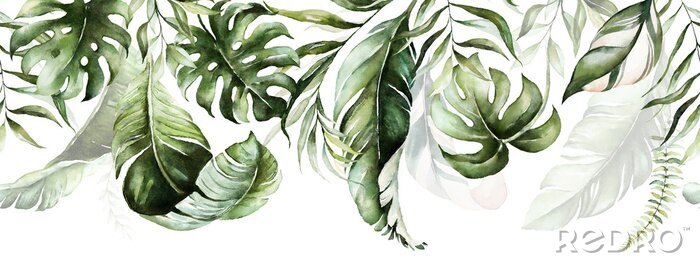 Papier peint  Feuilles de plantes exotiques