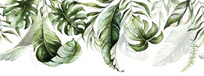 Papier peint  Feuilles de plantes exotiques