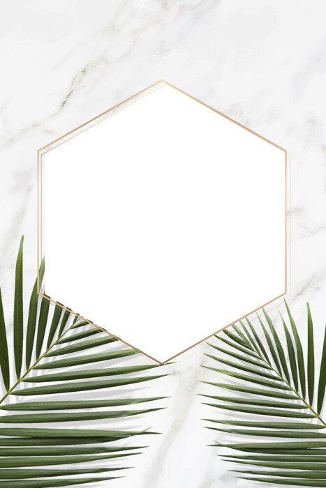 Papier peint  Feuilles et cadre sur fond de marbre