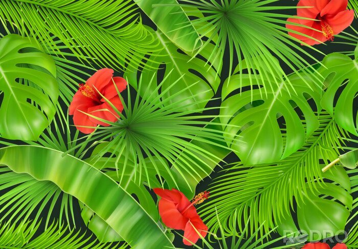 Papier peint  Feuilles et fleurs de la jungle en arrière-plan