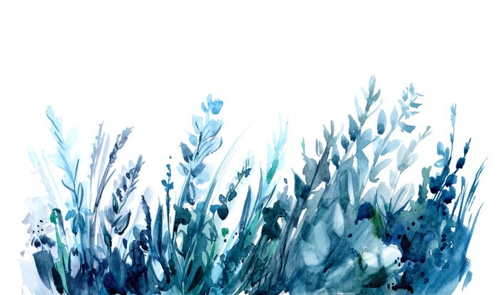 Papier peint  Feuilles et herbes à l’aquarelle dans des tons bleus
