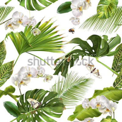 Papier peint  Feuilles et papillons des tropiques