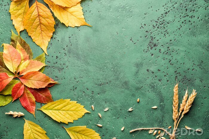 Papier peint  Feuilles et pointes sur fond vert