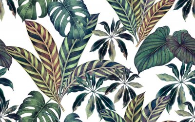 Feuilles multicolores de plantes tropicales