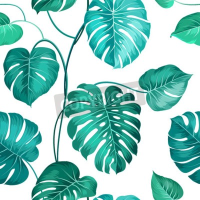 Papier peint  Feuilles naturelles