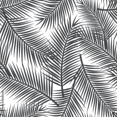 Feuilles noires et blanches dans un style minimaliste