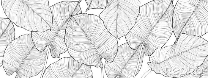 Papier peint  Feuilles noires et blanches dans une esthétique minimaliste