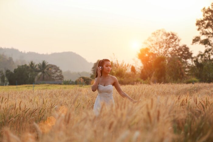 Papier peint  Feuilles pendantes aux couleurs de l'automne sur le béton