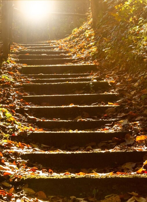 Papier peint  Feuilles sur un escalier
