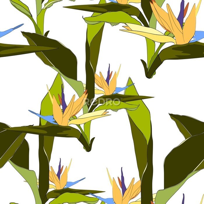 Papier peint  Feuilles tropicales d'été et tendance. Conception graphique sans faille avec des plantes exotiques et des fleurs de paradis strelitzia. Mode, tissu et tous les imprimés sur fond blanc élégant.