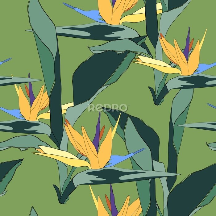 Papier peint  Feuilles tropicales d'été et tendance. Conception graphique sans faille avec des plantes exotiques et des fleurs de paradis strelitzia. Mode, tissu et tous les imprimés sur fond vert élégant.