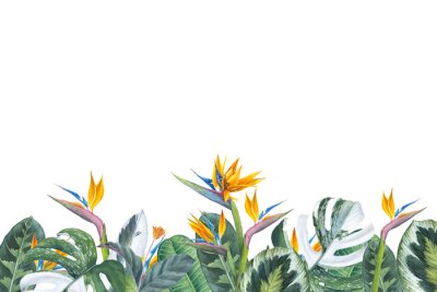 Papier peint  Feuilles tropicales et strelitzias sur fond blanc