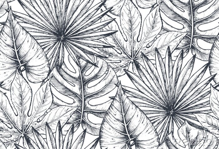 Papier peint  Feuilles tropicales noires et blanches
