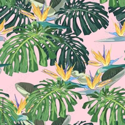 Papier peint  Feuilles tropicales sombres et lumineuses avec des plantes de la jungle. Modèle tropical vectorielle continue avec des feuilles de palmier vert et monstera et fleurs de strelitzia rouge. Fond rose.