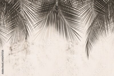 Feuilles tropicales sur béton, motif monochrome