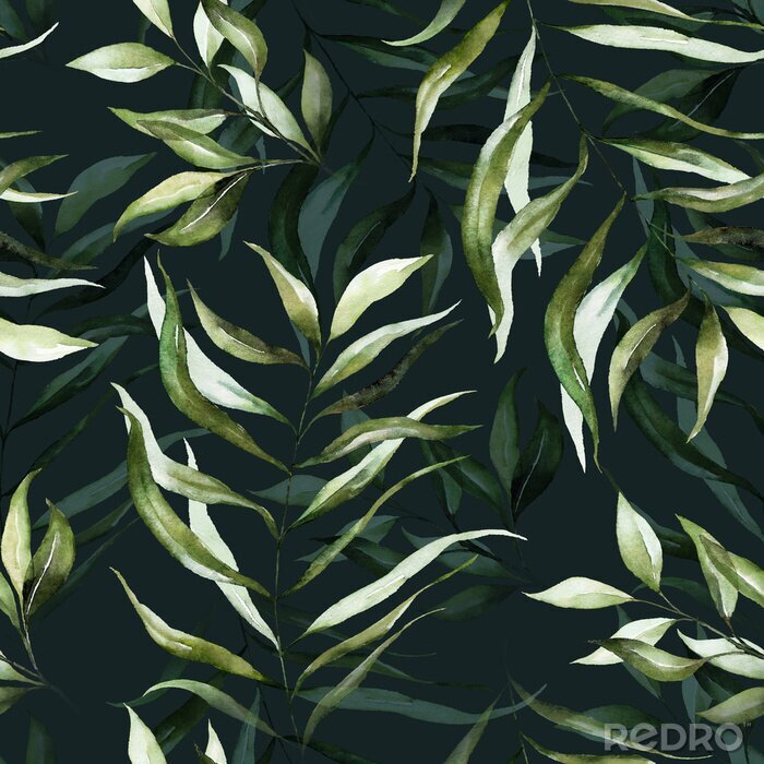 Papier peint  Feuilles tropicales sur un fonf vert foncé