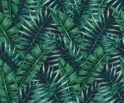 Papier peint  Feuilles vert foncé de plantes tropicales