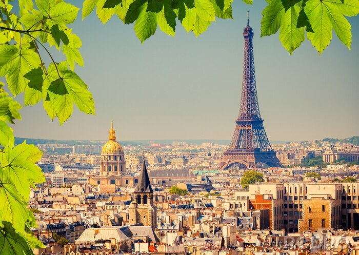 Papier peint  Feuilles vertes et panorama de Paris