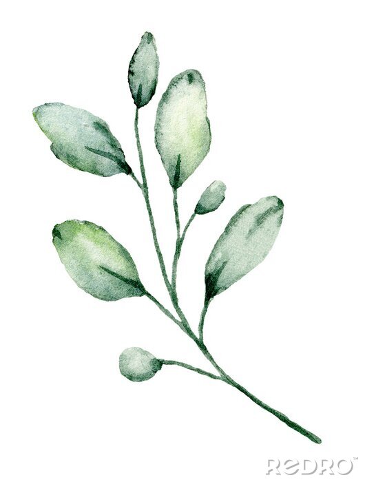 Papier peint  Feuilles vertes peintes à la main