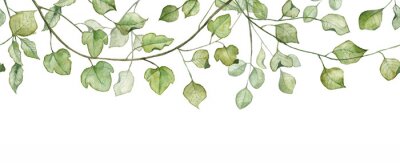 Papier peint  Feuilles vertes sur les branches des arbres dans un style aquarelle