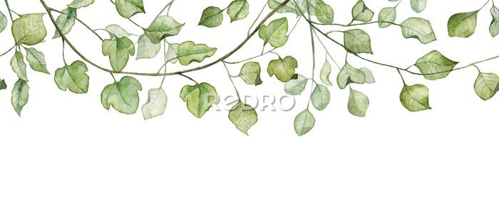 Papier peint  Feuilles vertes sur les branches des arbres dans un style aquarelle