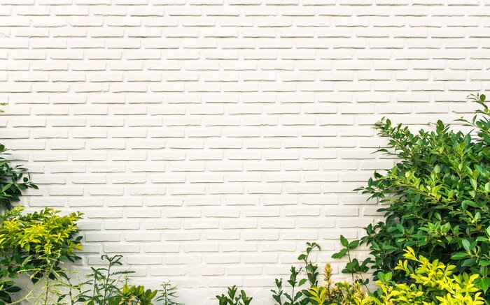 Papier peint  Feuilles vertes sur un fond de briques