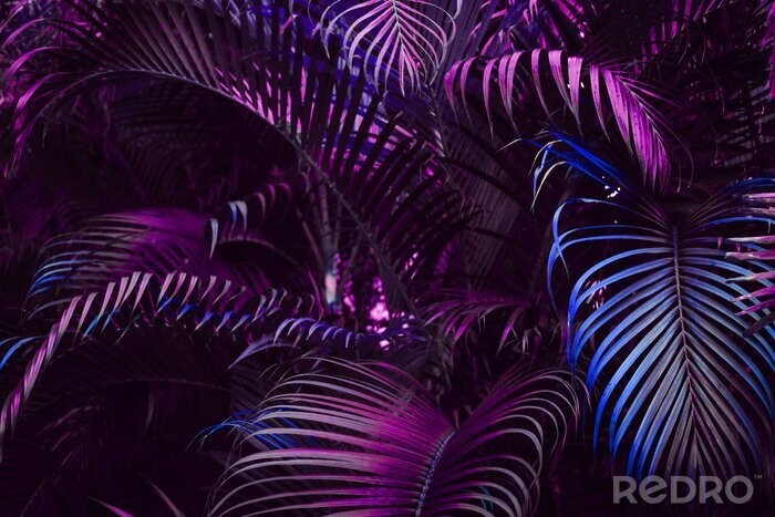 Papier peint  Feuilles violettes tropicales