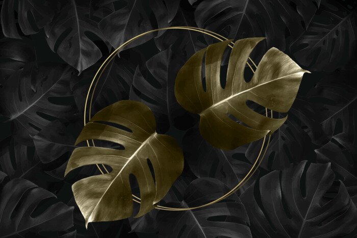 Papier peint  Feuilles XXL sur fond sombre