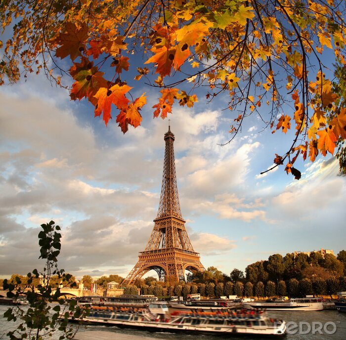 Papier peint  Feuillles d'automne à Paris