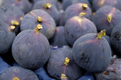 Figues violet foncé fraîchement cueillies