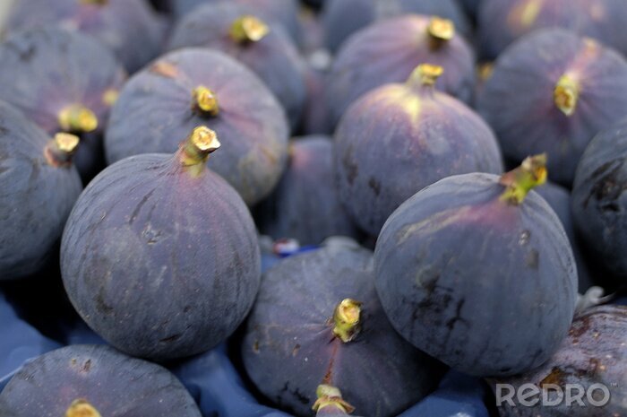 Papier peint  Figues violet foncé fraîchement cueillies