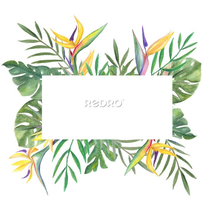 Papier peint  finished template image, framed with green and gold palm leaves, monstera, Strelitzia flowers on a white background, watercolor