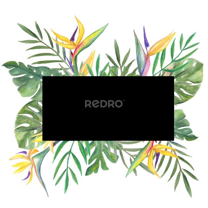 Papier peint  finished template image, framed with green and gold palm leaves, monstera, Strelitzia flowers on a white background, watercolor