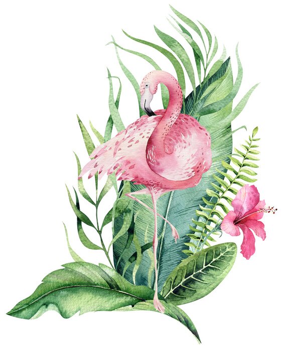 Papier peint  Flamant rose dans les feuilles