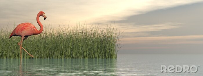 Papier peint  Flamant rose et plantes aquatiques