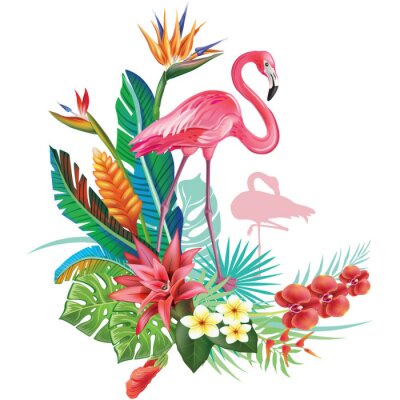 Flamant rose sous les tropiques