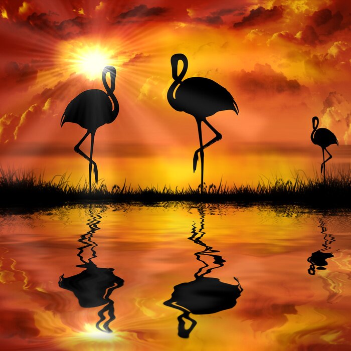Papier peint  Flamants roses au soleil