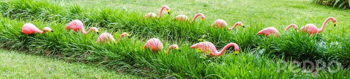 Papier peint  Flamants roses se déplaçant dans une herbe verte