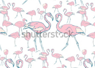 Papier peint  Flamants roses sur un fond blanc