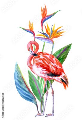 Papier peint  Flamingo and strelitzia, watercolor illustration on white background, isolated, tropical print for fabric, postcards, home furnishings and other designs.