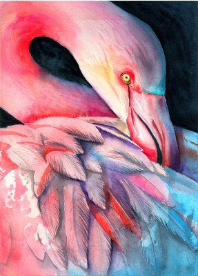 Papier peint  Flamingo peint à l'aquarelle sur fond sombre