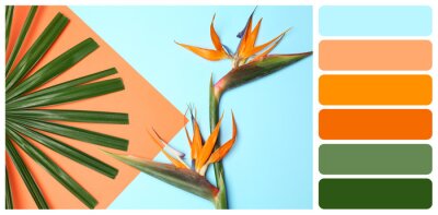 Papier peint  Flat lay composition with tropical leaf and strelitzia flowers on blue background. Color palette